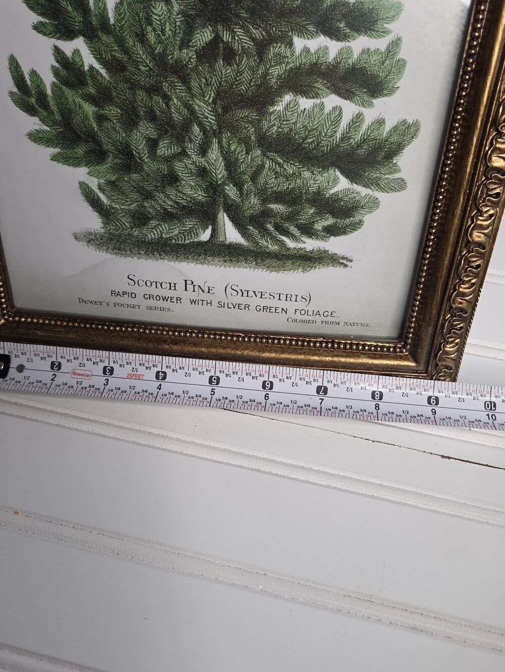 Kirklands Gold Picture Frame Pine Tree Art Desctop Picture
